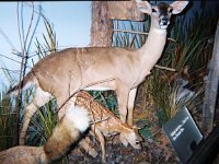 photos 2000-200901218